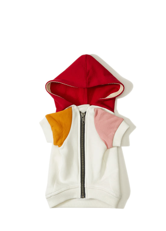 Mons Bons x Bassigue  Turuncu Color Block Pet Hoodie